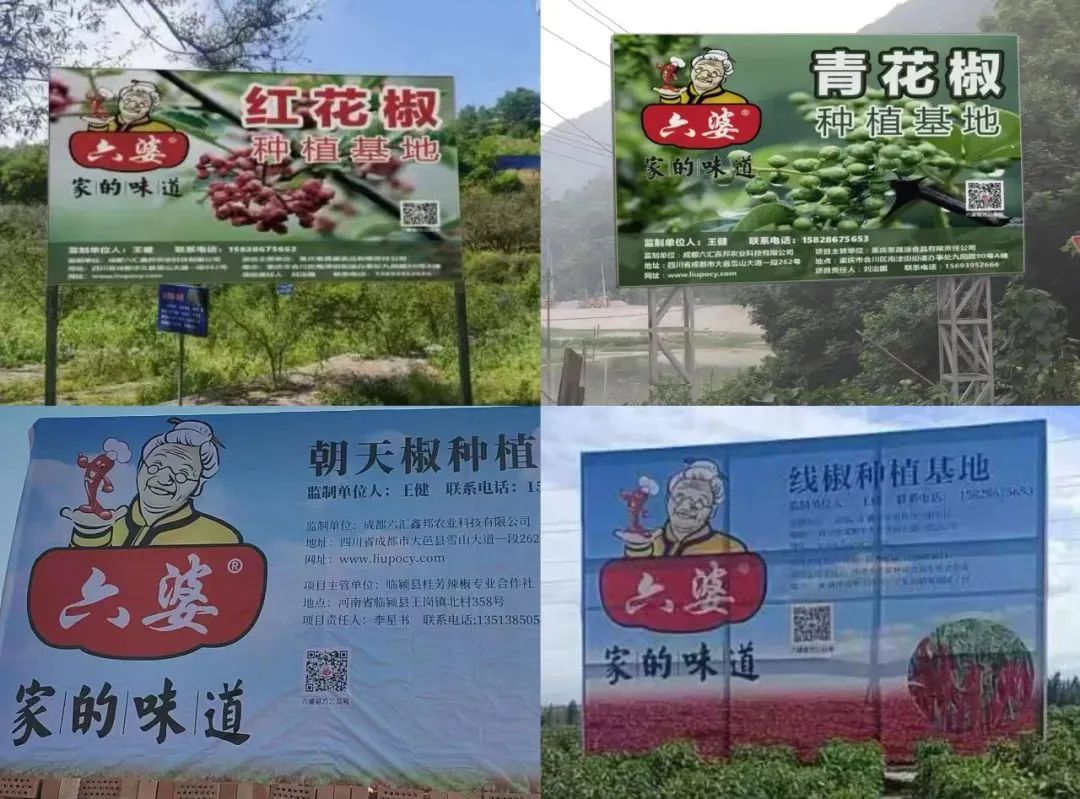 8亿袋一包辣椒面如何成为万能蘸料麻将胡了2试玩六婆：一年销量超过(图4)