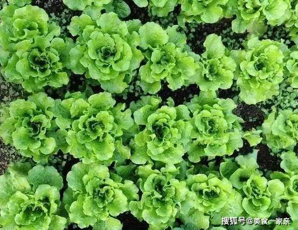 汁是关键掌握这个比例你也能做出饭店水准麻将胡了2试玩模拟器排骨想要好吃调好酱(图3)