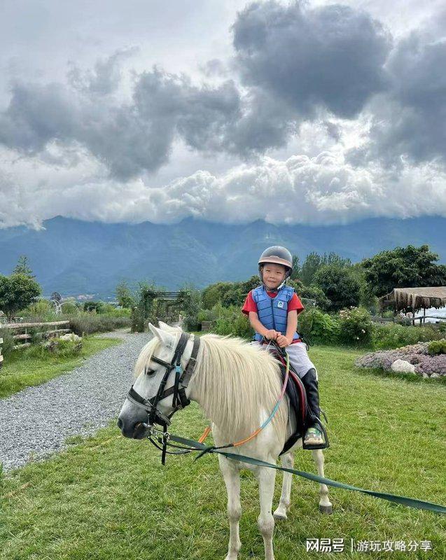 里比较方便 成都旅游景点推荐推文麻将胡了免费试玩去成都旅游住在哪(图3)